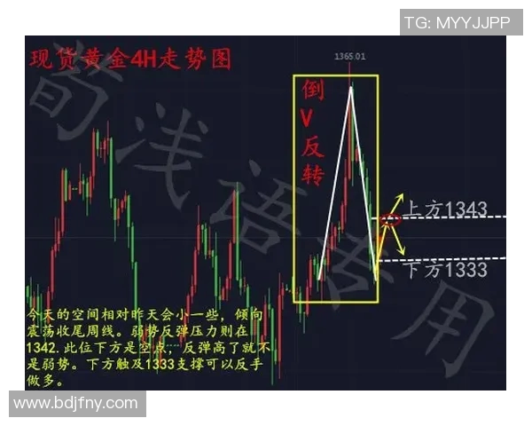 深圳乒乓球队配合策略深度对比与分析探讨 深圳乒乓球队配合策略深度对比与分析探讨