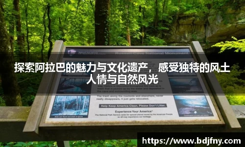 球速体育平台