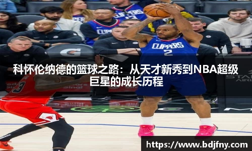 球速体育平台